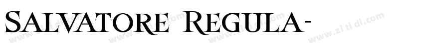 Salvatore Regula字体转换